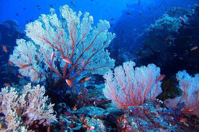 2024除湿机什么品牌质量好?5个宝藏机型推荐!